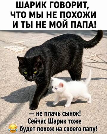 https://upforme.ru/uploads/0000/11/e5/2/t632518.jpg