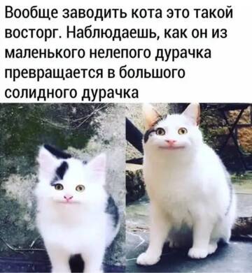 https://upforme.ru/uploads/0000/11/e5/2/t658117.jpg