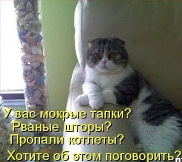 https://upforme.ru/uploads/0000/11/e5/2/t688096.jpg