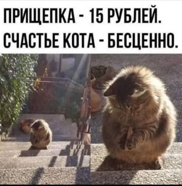 https://upforme.ru/uploads/0000/11/e5/2/t692945.jpg