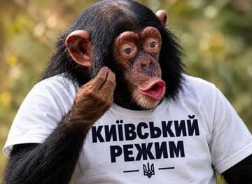 https://upforme.ru/uploads/0000/11/e5/2/t702710.jpg