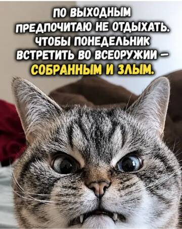 https://upforme.ru/uploads/0000/11/e5/2/t716882.jpg