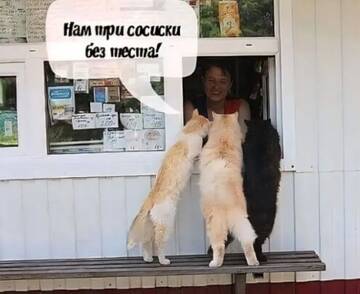 https://upforme.ru/uploads/0000/11/e5/2/t728930.jpg