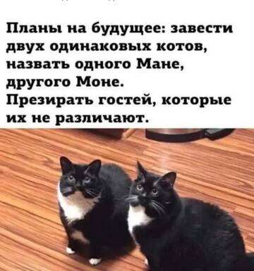 https://upforme.ru/uploads/0000/11/e5/2/t797083.jpg