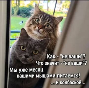 https://upforme.ru/uploads/0000/11/e5/2/t822656.jpg