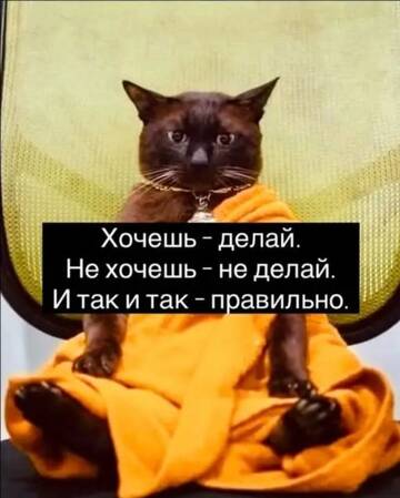 https://upforme.ru/uploads/0000/11/e5/2/t858671.jpg