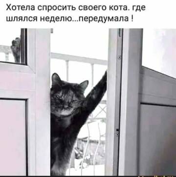 https://upforme.ru/uploads/0000/11/e5/2/t859850.jpg