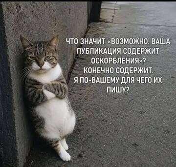 https://upforme.ru/uploads/0000/11/e5/2/t879938.jpg
