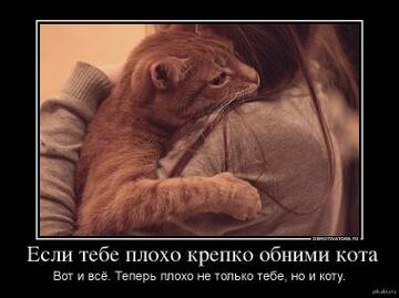 https://upforme.ru/uploads/0000/11/e5/2/t880462.jpg
