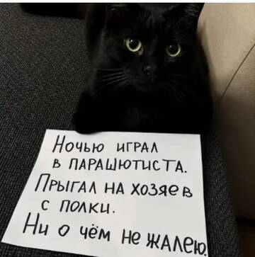 https://upforme.ru/uploads/0000/11/e5/2/t888391.jpg