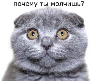 https://upforme.ru/uploads/0000/11/e5/2/t895038.jpg