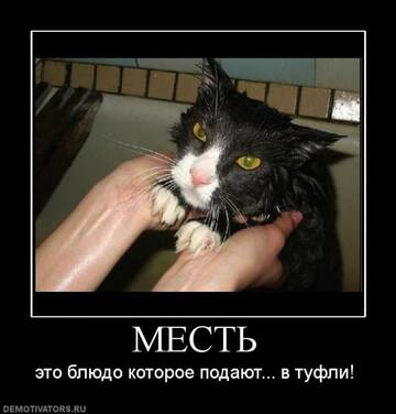 https://upforme.ru/uploads/0000/11/e5/2/t931067.jpg