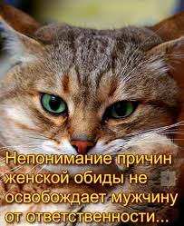 https://upforme.ru/uploads/0000/11/e5/2/t947808.jpg