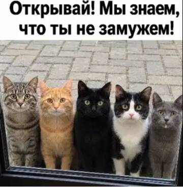 https://upforme.ru/uploads/0000/11/e5/2/t976711.jpg