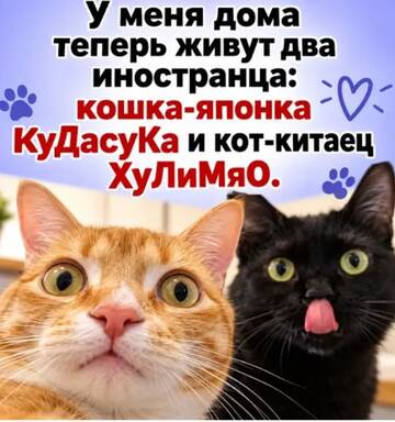 https://upforme.ru/uploads/0000/11/e5/2/t990645.jpg