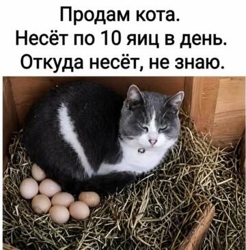 https://upforme.ru/uploads/0000/11/e5/558/t190812.jpg