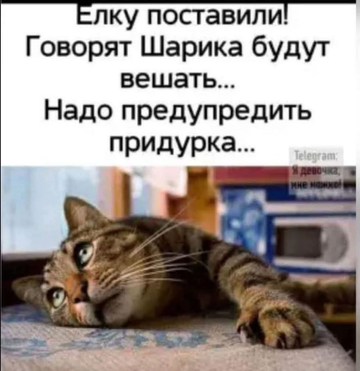 https://upforme.ru/uploads/0000/11/e5/558/t246213.png
