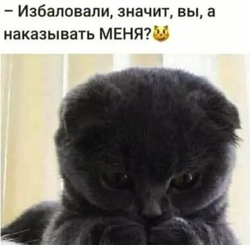 https://upforme.ru/uploads/0000/11/e5/558/t268653.jpg