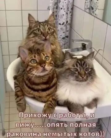 https://upforme.ru/uploads/0000/11/e5/558/t275640.jpg