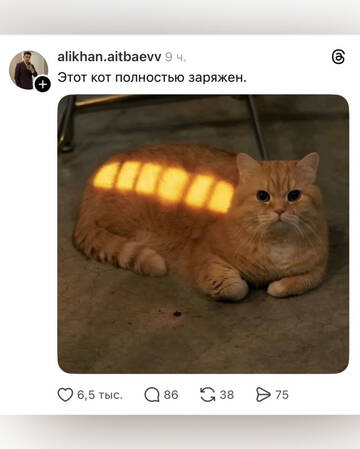 https://upforme.ru/uploads/0000/11/e5/558/t282814.jpg