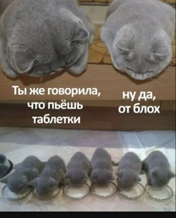 https://upforme.ru/uploads/0000/11/e5/558/t349428.jpg