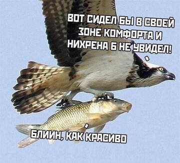 https://upforme.ru/uploads/0000/11/e5/558/t357126.jpg