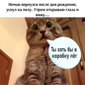 https://upforme.ru/uploads/0000/11/e5/558/t367097.jpg