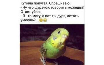 https://upforme.ru/uploads/0000/11/e5/558/t423148.jpg