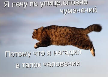 https://upforme.ru/uploads/0000/11/e5/558/t428629.jpg