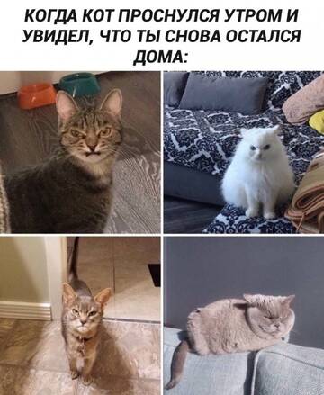 https://upforme.ru/uploads/0000/11/e5/558/t448012.jpg