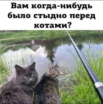 https://upforme.ru/uploads/0000/11/e5/558/t489063.jpg