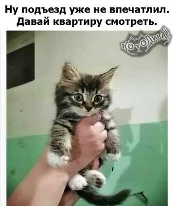 https://upforme.ru/uploads/0000/11/e5/558/t503033.jpg