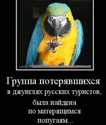 https://upforme.ru/uploads/0000/11/e5/558/t521302.jpg
