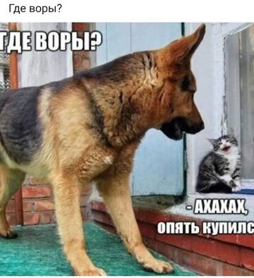 https://upforme.ru/uploads/0000/11/e5/558/t524913.jpg