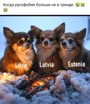 https://upforme.ru/uploads/0000/11/e5/558/t528594.jpg