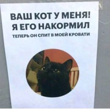 https://upforme.ru/uploads/0000/11/e5/558/t542010.jpg