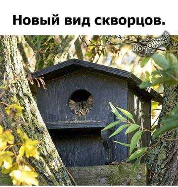 https://upforme.ru/uploads/0000/11/e5/558/t554832.jpg
