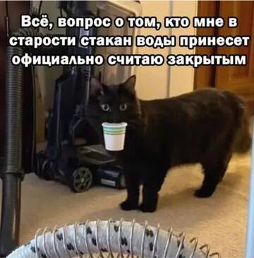 https://upforme.ru/uploads/0000/11/e5/558/t571349.jpg