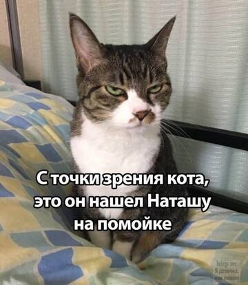 https://upforme.ru/uploads/0000/11/e5/558/t576465.jpg