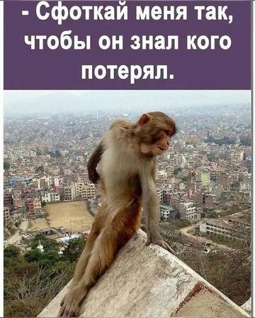https://upforme.ru/uploads/0000/11/e5/558/t591323.jpg