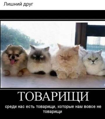 https://upforme.ru/uploads/0000/11/e5/558/t623085.jpg