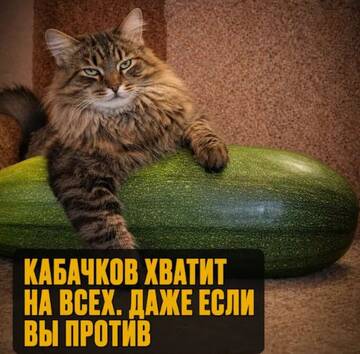 https://upforme.ru/uploads/0000/11/e5/558/t627931.jpg