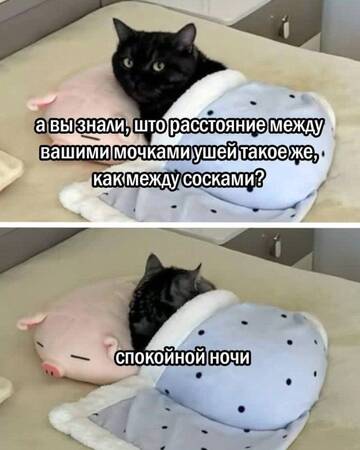 https://upforme.ru/uploads/0000/11/e5/558/t641088.jpg