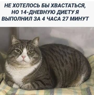 https://upforme.ru/uploads/0000/11/e5/558/t701131.jpg