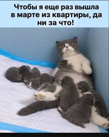 https://upforme.ru/uploads/0000/11/e5/558/t708189.jpg