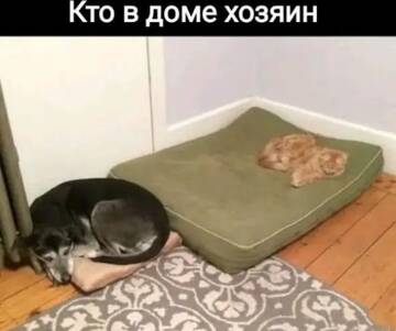 https://upforme.ru/uploads/0000/11/e5/558/t777804.jpg