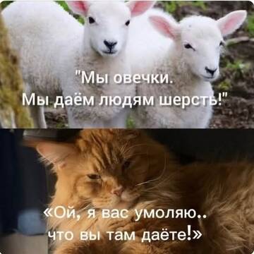 https://upforme.ru/uploads/0000/11/e5/558/t787087.jpg