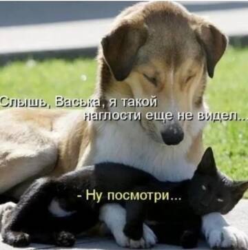 https://upforme.ru/uploads/0000/11/e5/558/t859729.jpg