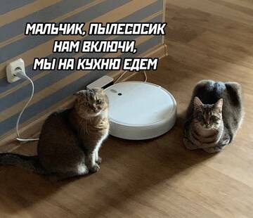 https://upforme.ru/uploads/0000/11/e5/558/t867164.jpg
