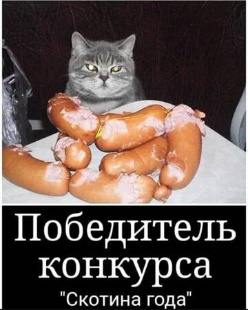 https://upforme.ru/uploads/0000/11/e5/558/t948174.jpg